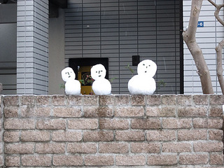 2012/01/03 お散歩
