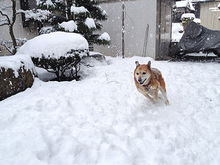 121208_snow_02.jpg